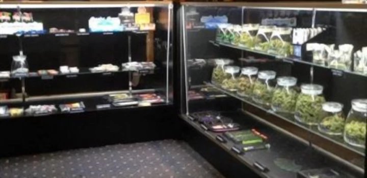 Invest in Cannabis: How do I set up a cannabis store in Germany